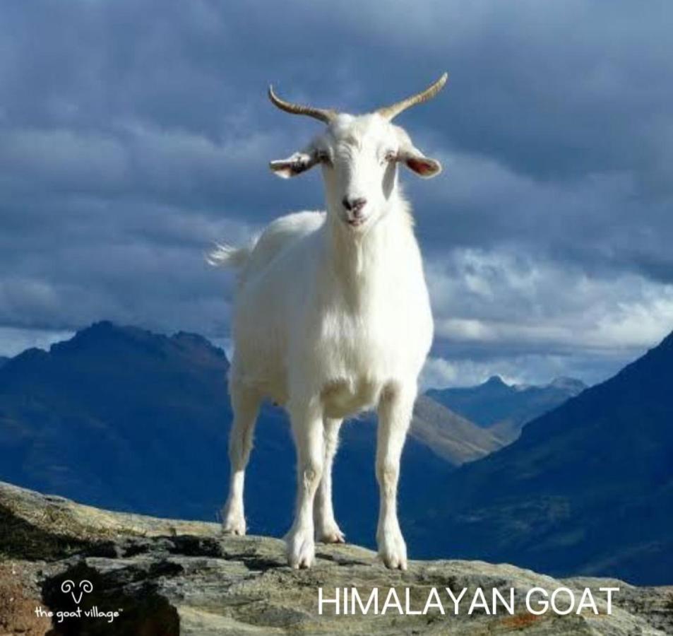 The Goat Village Myani Экстерьер фото